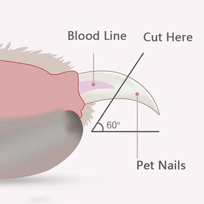 Professional Pet Nail Clippers with LED Light – Stainless Steel Safety Trimmer for Dogs, Cats & Small Animals
