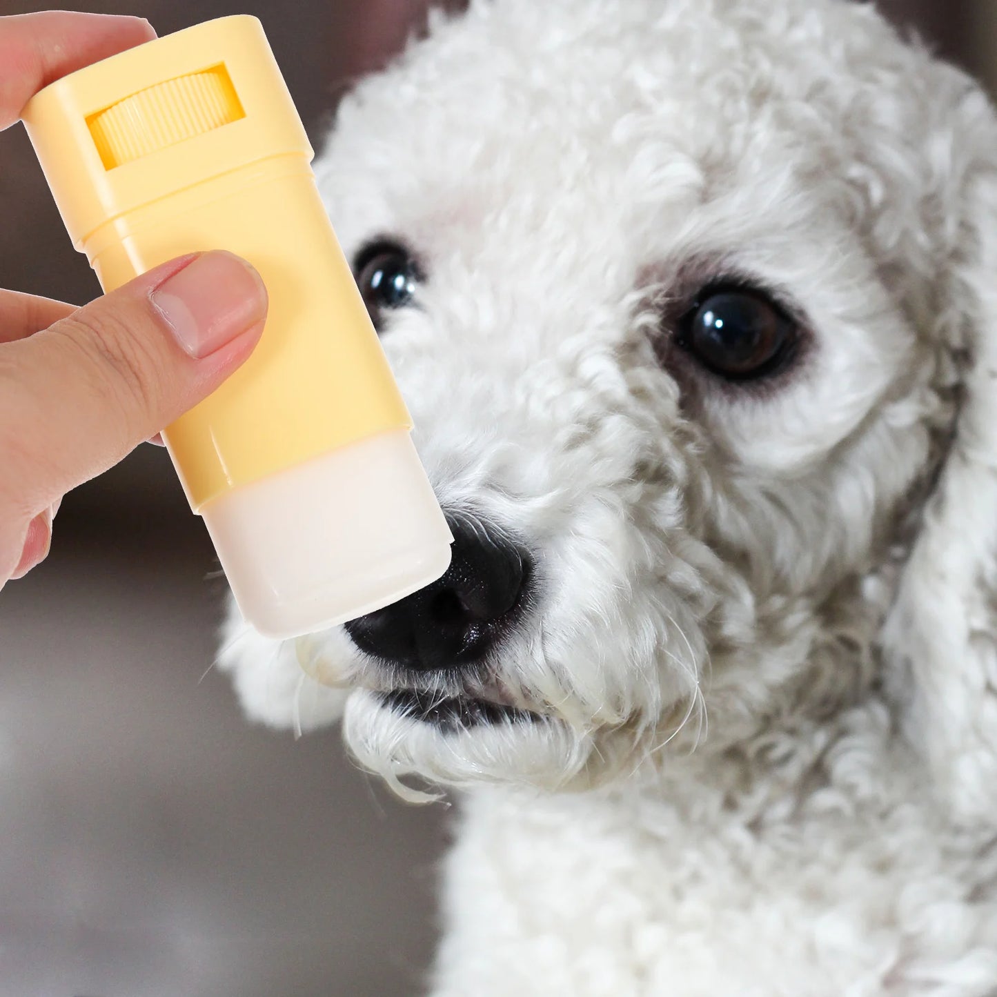 Pet Paw Protection Balm – Beeswax Moisturizing Cream for Dry, Cracked Paws, Nose & Elbows for Dogs & Cats