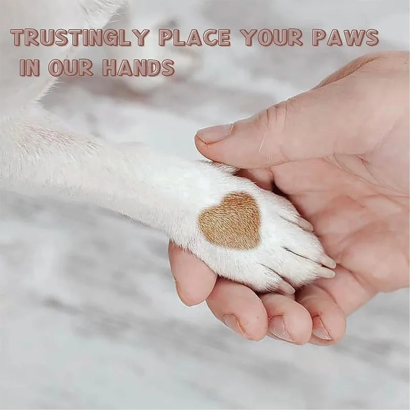 Dog Nail Scratch Board & Filing Pad – Stress-Free Interactive Nail Grinder for All Breeds
