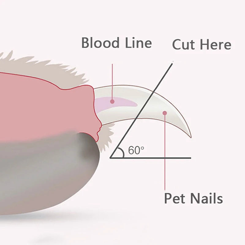 Professional Pet Nail Clippers with LED Light – Safe, Precise Trimmer for Dogs, Cats & Small Animals
